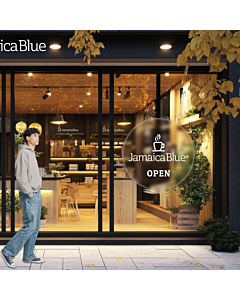 65cm Holographic Fan