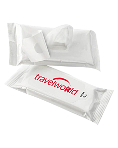 10 Pack Anti-Bacterial Wet Wipes