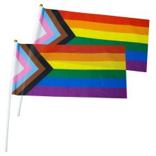LGBTQ+ Progress Pride Hand Flags