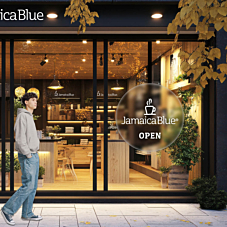 65cm Holographic Fan