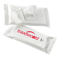 10 Pack Anti-Bacterial Wet Wipes